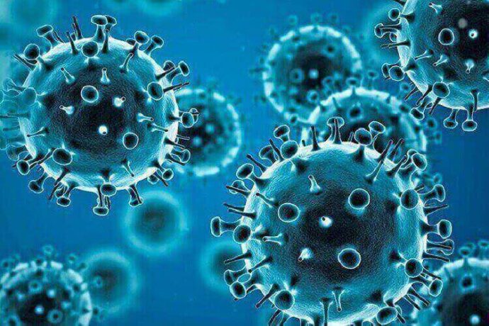 จีนค้นพบส่วนประกอบในมะกรูด มีฤทธิ์ยับยั้งการติดเชื้อไวรัสโควิด